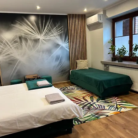 Francuzka 克拉科夫